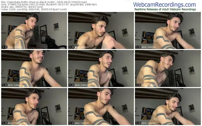 2025/08/01/chaturbate-david_muller_-03-52-02