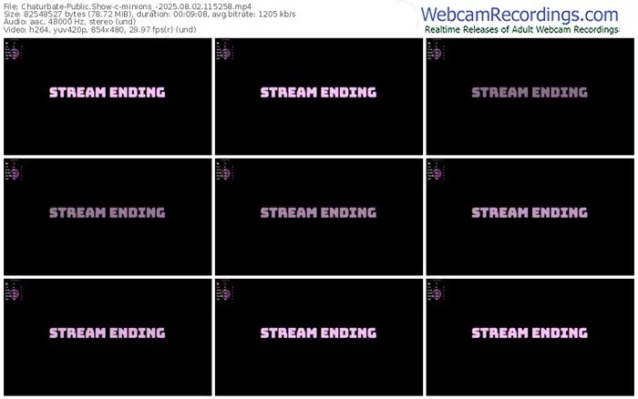 2025/08/02/chaturbate-minions_-11-52-58