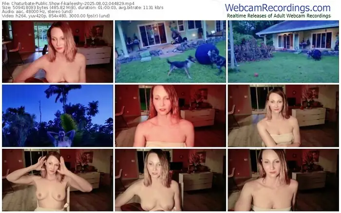 2025/08/02/chaturbate-kaileeshy-04-48-29