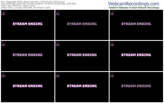 2025/08/05/chaturbate-minions_-12-04-10