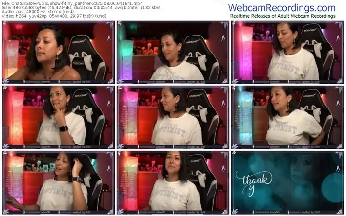 2025/08/06/chaturbate-tiny_panther-04-18-41