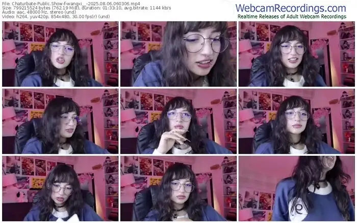 2025/08/06/chaturbate-wangxi__-06-03-06