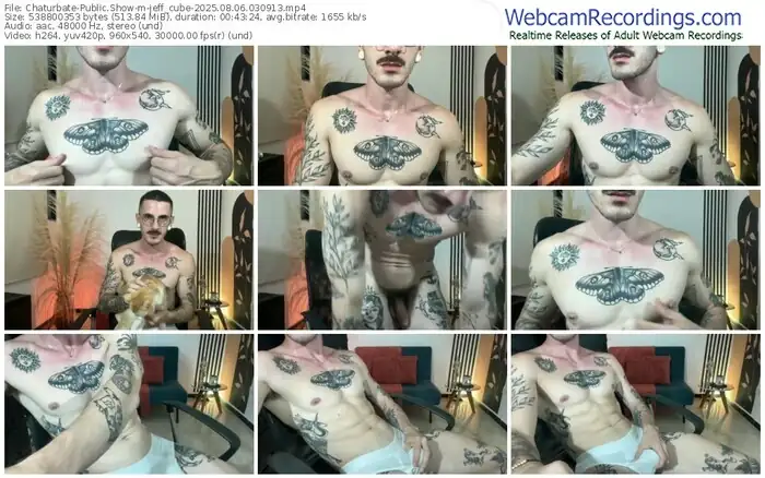 2025/08/06/chaturbate-jeff_cube-03-09-13