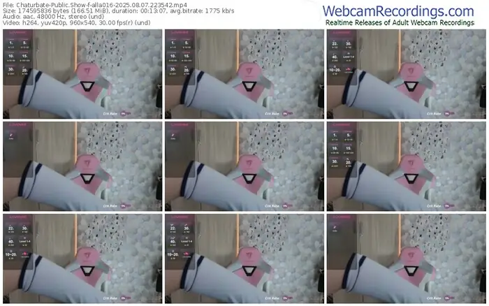 2025/08/07/chaturbate-alla016-22-35-42