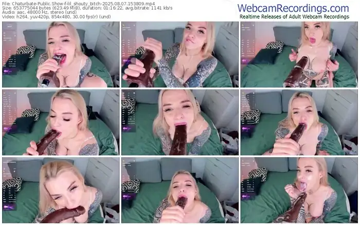 2025/08/07/chaturbate-lil_shouty_bitch-15-38-09