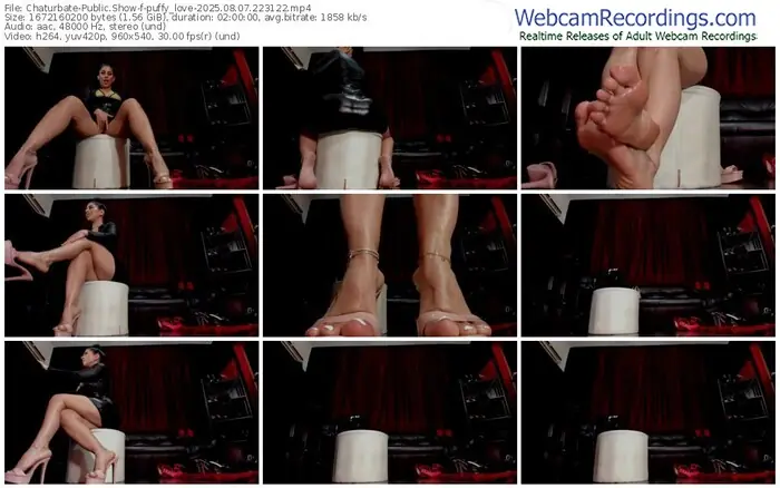 2025/08/07/chaturbate-puffy_love-22-31-22