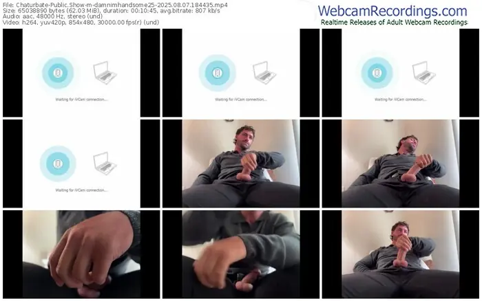 2025/08/07/chaturbate-damnimhandsome25-18-44-35