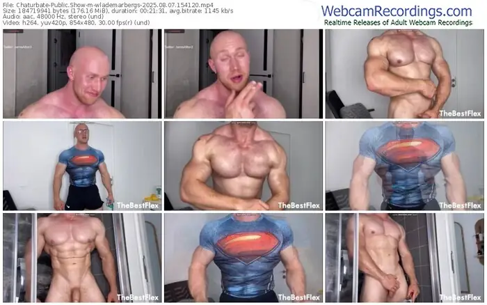 2025/08/07/chaturbate-wlademarbergs-15-41-20