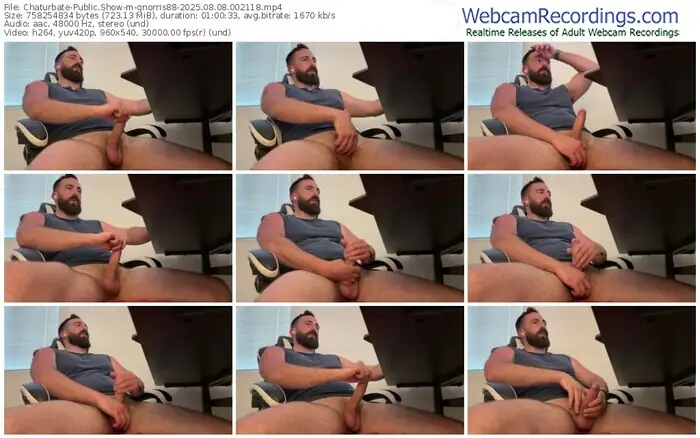 2025/08/08/chaturbate-gnorris88-00-21-18