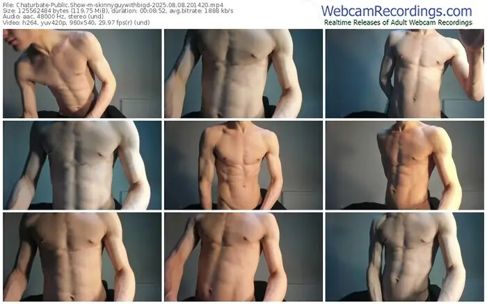 2025/08/08/chaturbate-skinnyguywithbigd-20-14-20