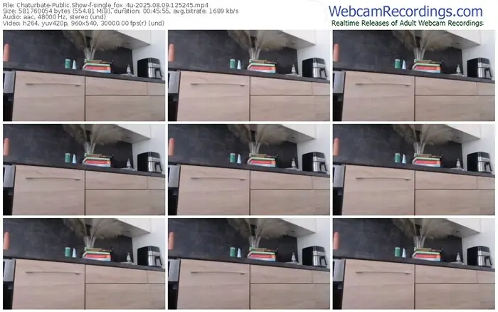 2025/08/09/chaturbate-single_fox_4u-12-52-45