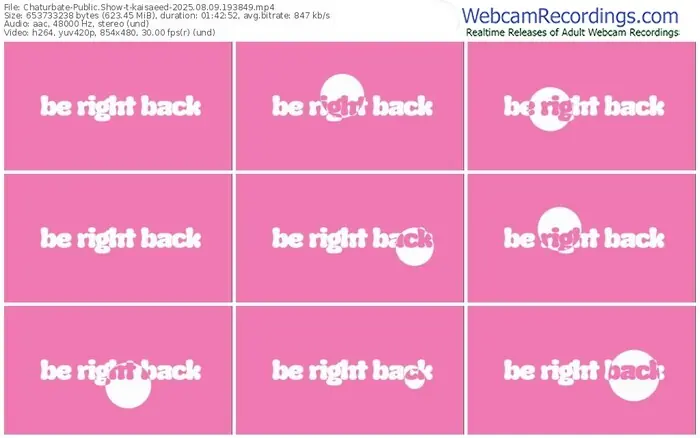 2025/08/09/chaturbate-kaisaeed-19-38-49