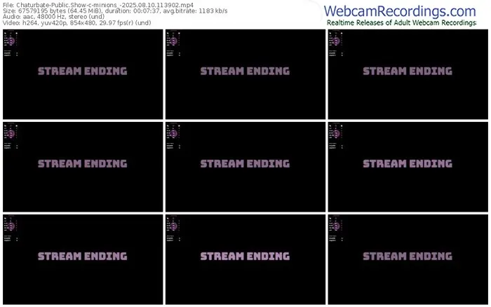 2025/08/10/chaturbate-minions_-11-39-02