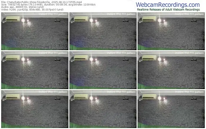 2025/08/10/chaturbate-boobzilla_-17-25-55