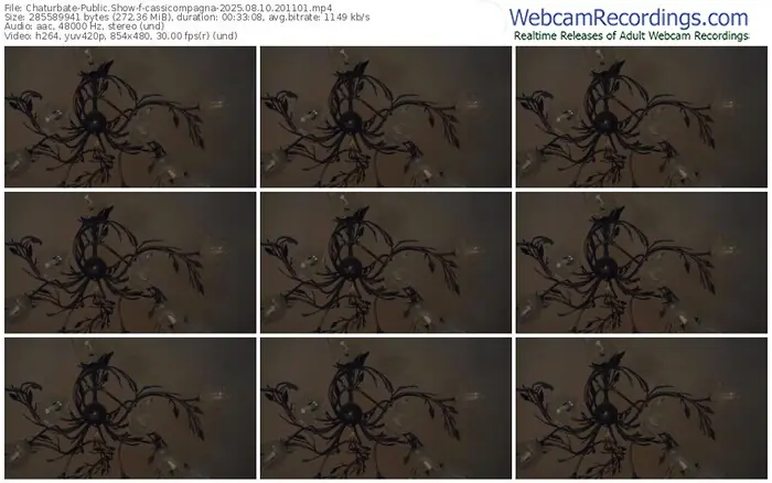 2025/08/10/chaturbate-cassicompagna-20-11-01