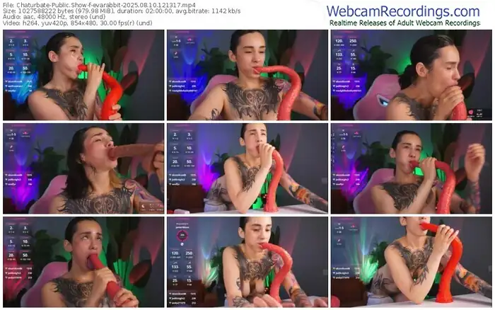 2025/08/10/chaturbate-evarabbit-12-13-17