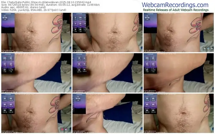 2025/08/10/chaturbate-iblamedevan-23-56-42