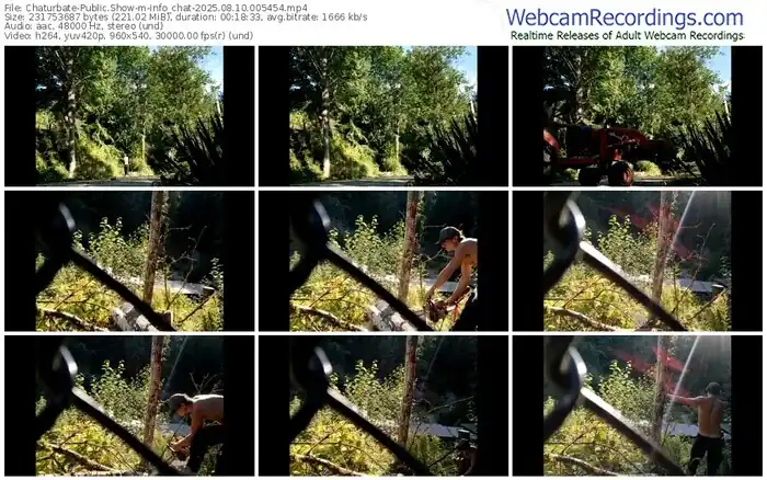 2025/08/10/chaturbate-info_chat-00-54-54