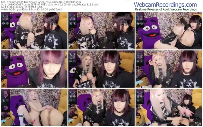 2025/08/10/chaturbate-arina_rose-08-24-06