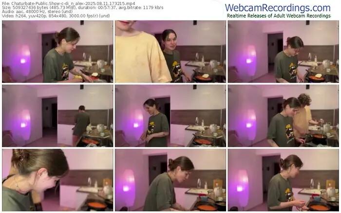 2025/08/11/chaturbate-di_n_alex-17-32-15