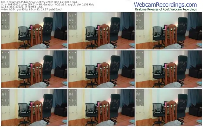 2025/08/11/chaturbate-ellcrys-21-00-13