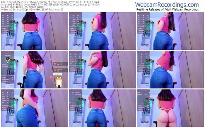 2025/08/11/chaturbate-couple_of_your_dreams_-11-11-27