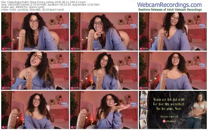 2025/08/11/chaturbate-miss_sidney-19-31-17