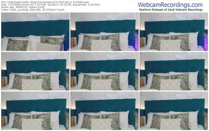 2025/08/11/chaturbate-mmmaaa1234-01-09-56