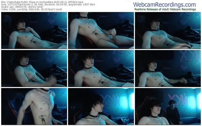 2025/08/11/chaturbate-min1pekka-00-56-03
