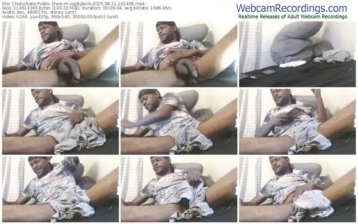 2025/08/11/chaturbate-ogdigbick-16-14-08