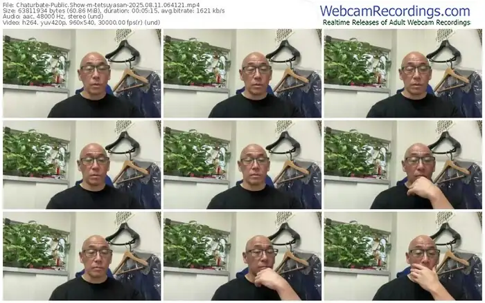 2025/08/11/chaturbate-tetsuyasan-06-41-21