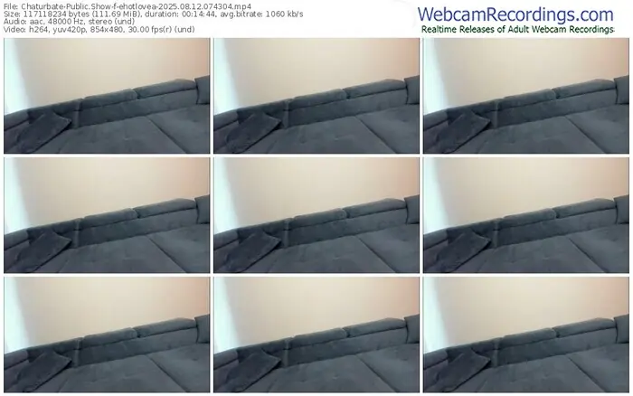2025/08/12/chaturbate-ehotlovea-07-43-04