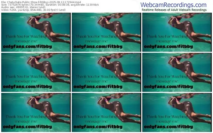 2025/08/12/chaturbate-fitbbyy-17-29-44