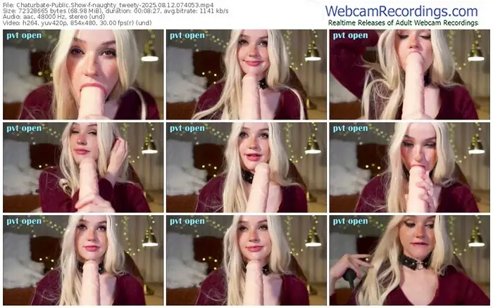 2025/08/12/chaturbate-naughty_tweety-07-40-53