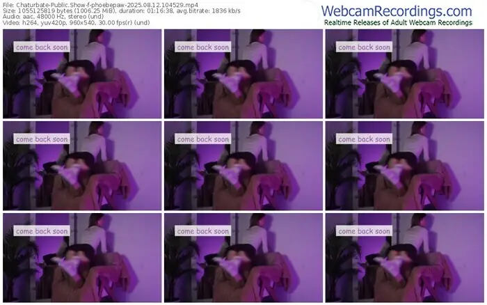 2025/08/12/chaturbate-phoebepaw-10-45-29