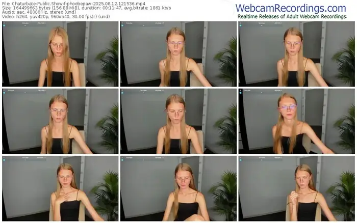 2025/08/12/chaturbate-phoebepaw-12-15-36