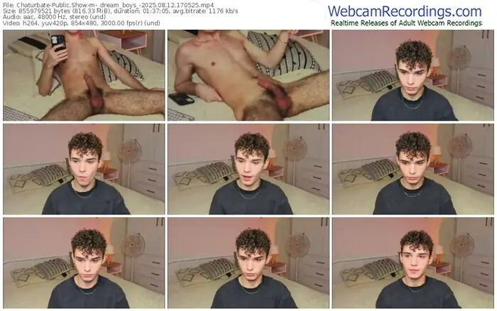 2025/08/12/chaturbate-_dream_boys_-17-05-25