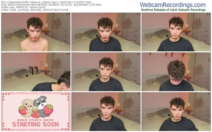 2025/08/12/chaturbate-_dream_boys_-19-25-37