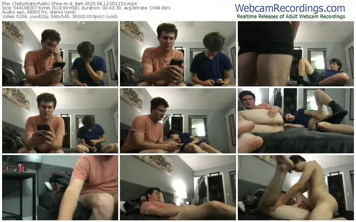 2025/08/12/chaturbate-d_dart-05-11-53