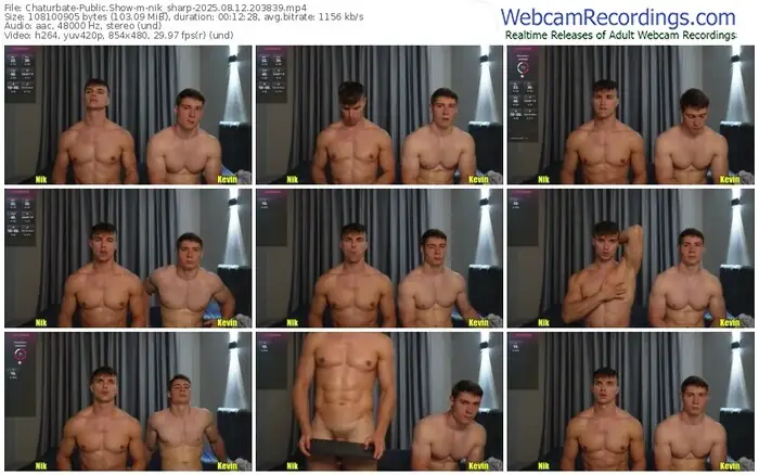 2025/08/12/chaturbate-nik_sharp-20-38-39