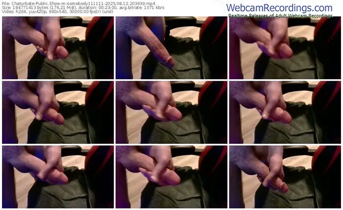 2025/08/12/chaturbate-somebody111111-20-39-39