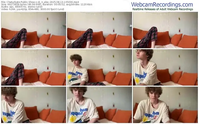 2025/08/13/chaturbate-di_n_alex-13-50-36