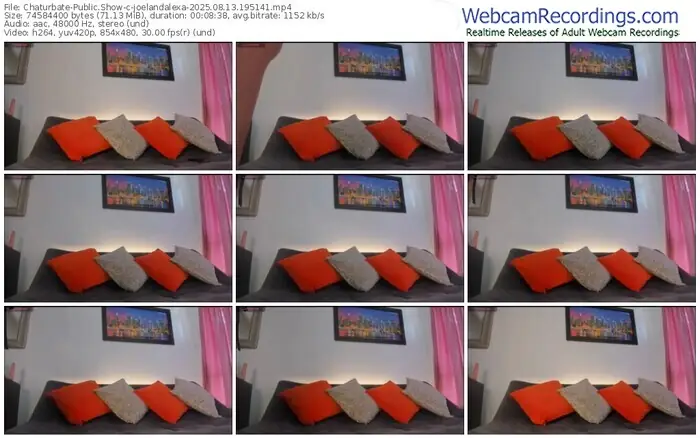 2025/08/13/chaturbate-joelandalexa-19-51-41