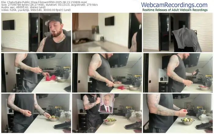 2025/08/13/chaturbate-bmwm5f90-15-38-09