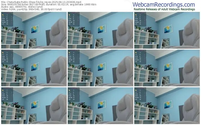 2025/08/13/chaturbate-kylie_reyes-23-36-36
