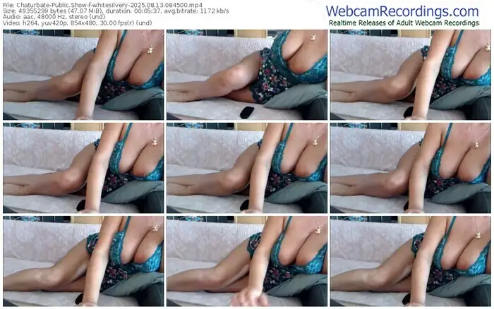 2025/08/13/chaturbate-whitesilvery-08-45-00