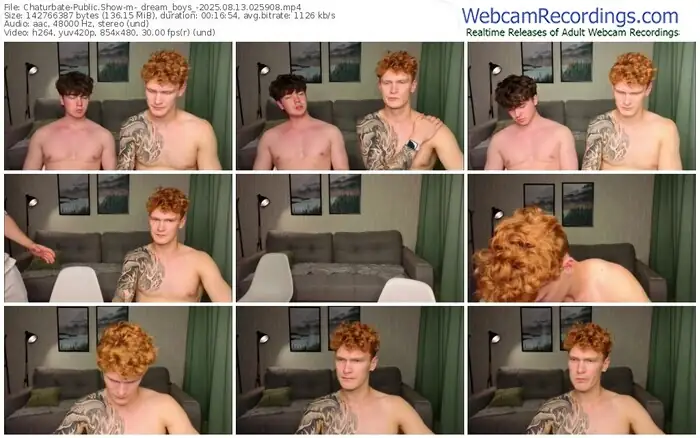 2025/08/13/chaturbate-_dream_boys_-02-59-08