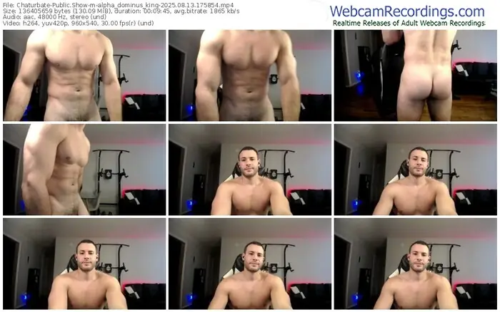 2025/08/13/chaturbate-alpha_dominus_king-17-58-54