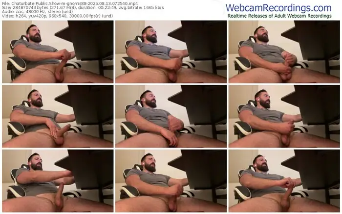 2025/08/13/chaturbate-gnorris88-07-25-40