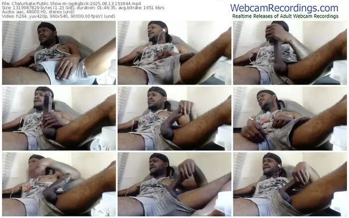 2025/08/13/chaturbate-ogdigbick-15-39-44